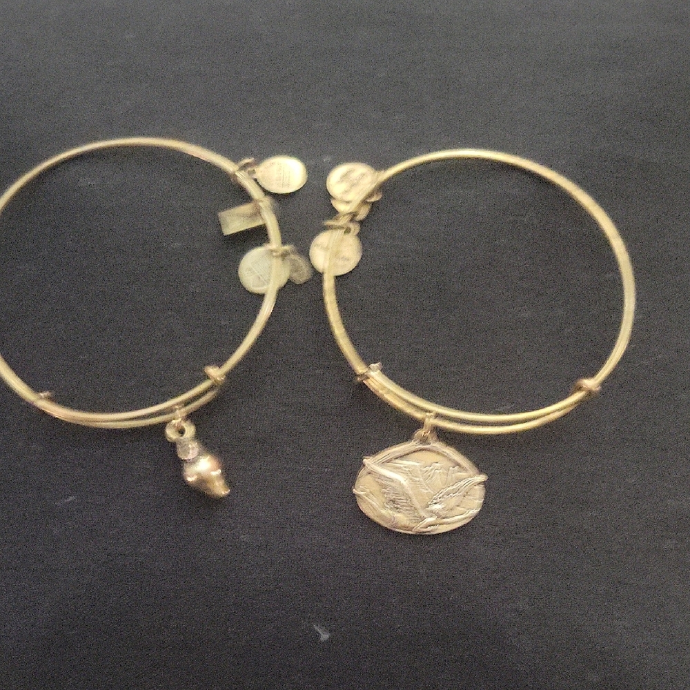 Alex and Ani 2 Gold Charm Bracelets Angel Guardian of Freedom Shell Serenity $12